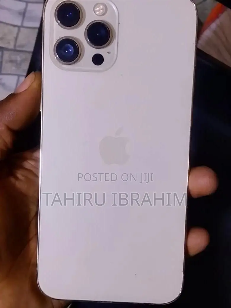 Apple iPhone 12 Pro Max 128 GB Gray