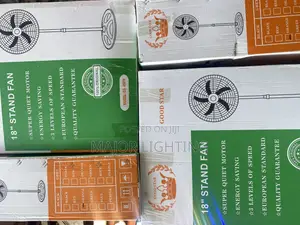 Standing Fan Two in One