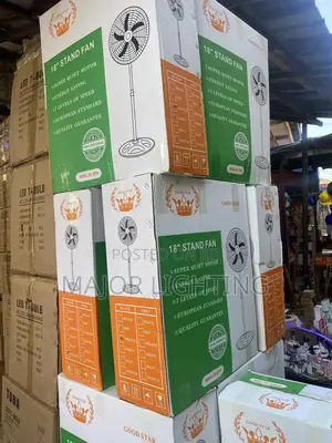 Standing Fan Two in One