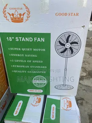 Standing Fan Two in One