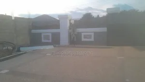 Professional Expert Painter