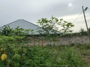Half Plot for Sale at Ejisu Adadientem