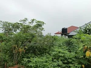 Half Plot for Sale at Ejisu Adadientem