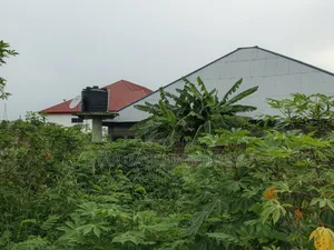 Half Plot for Sale at Ejisu Adadientem