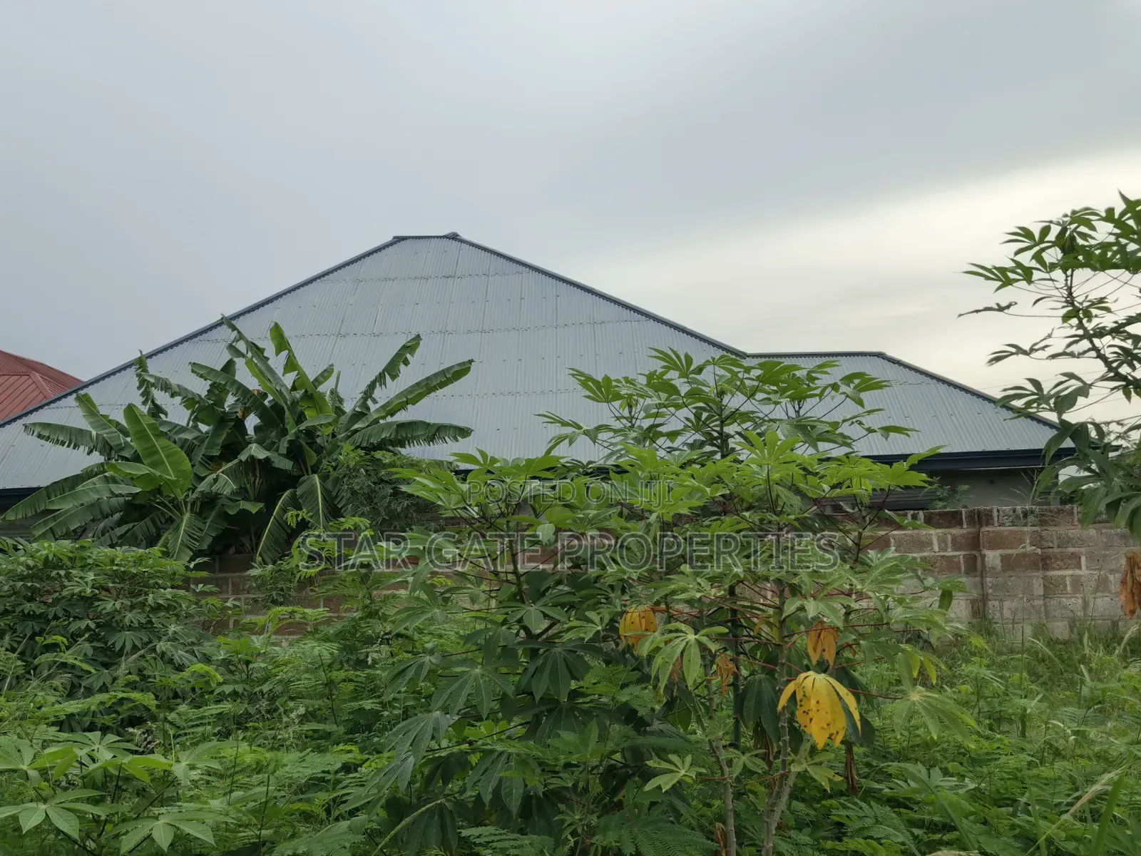 Half Plot for Sale at Ejisu Adadientem
