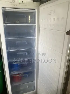Novo Upright Freezer