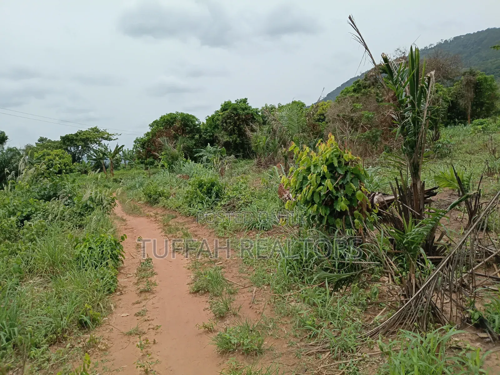 Farmland for Sale in Akuapim North