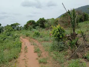 Farmland for Sale in Akuapim North