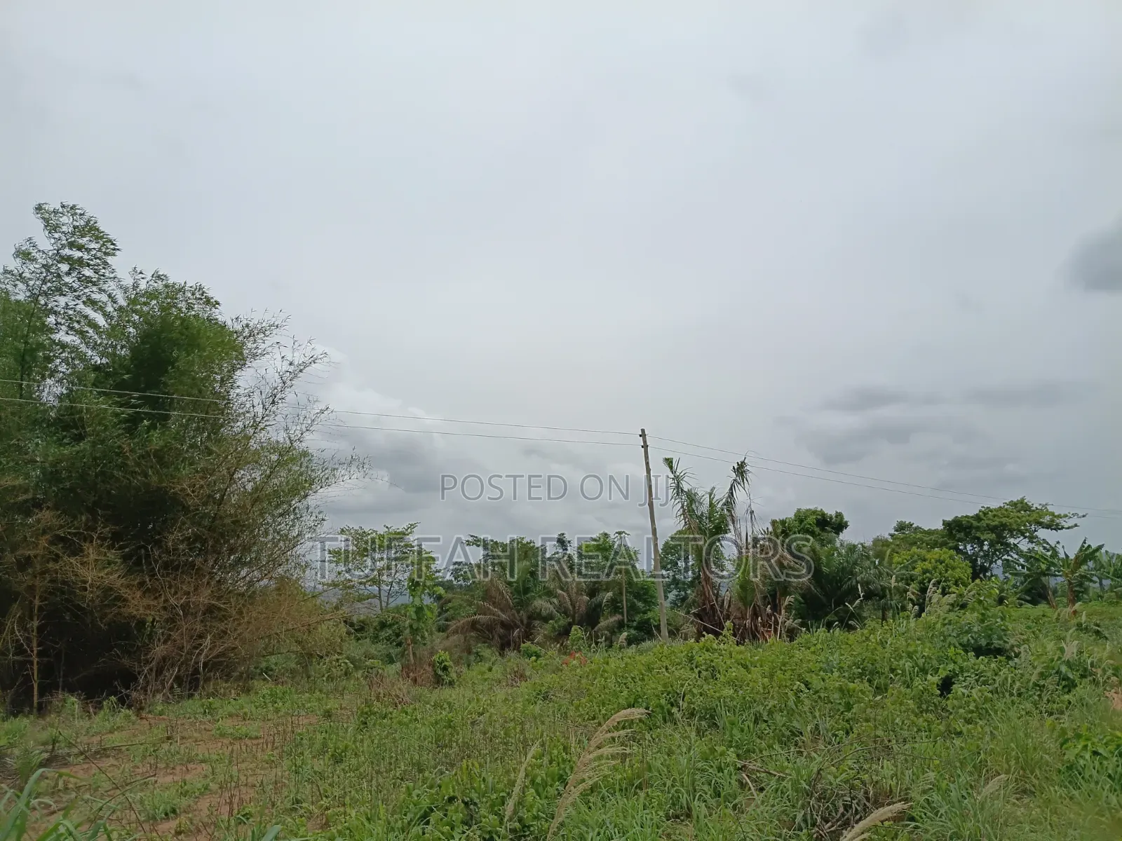 Farmland for Sale in Akuapim North