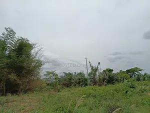 Farmland for Sale in Akuapim North