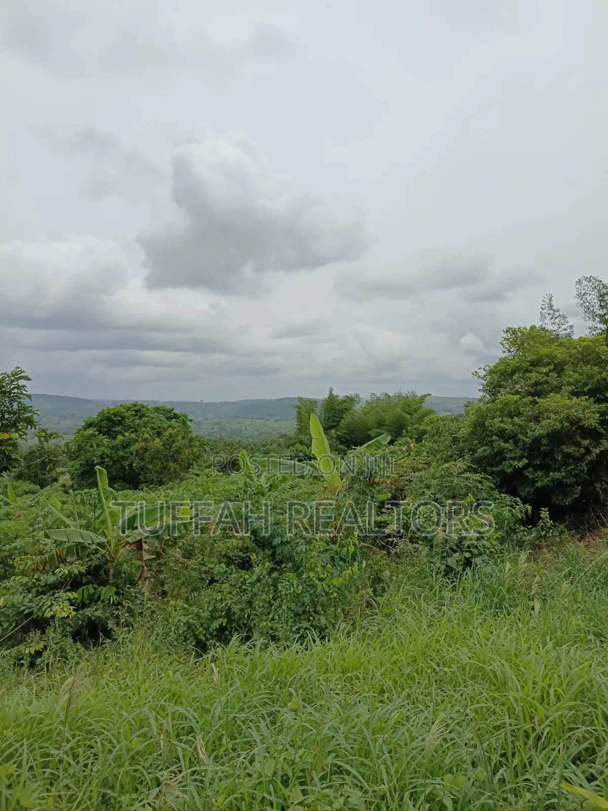 Farmland for Sale in Akuapim North