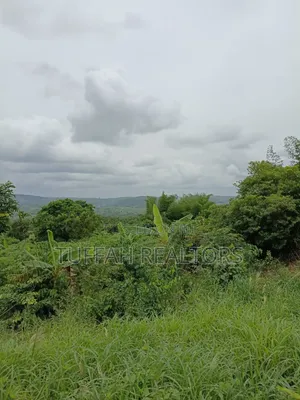 Farmland for Sale in Akuapim North