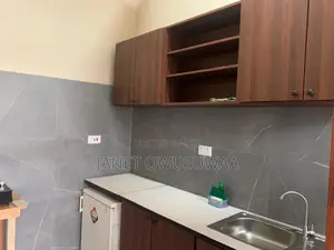 Furnished 1bdrm Apartment in Ashomang Estate for rent