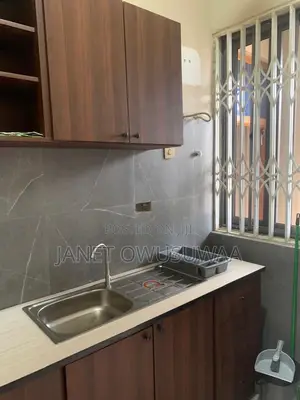 Furnished 1bdrm Apartment in Ashomang Estate for rent