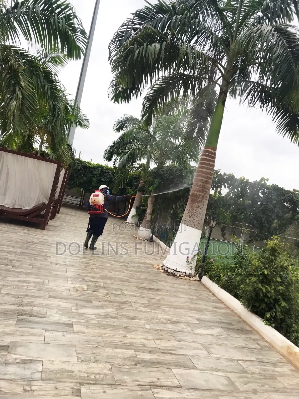Dollins Fumigation Say Goodbye to Pest -for Good!