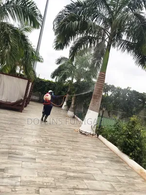 Dollins Fumigation Say Goodbye to Pest -for Good!