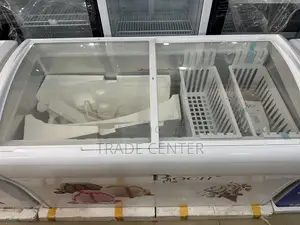 Roch Display Freezer