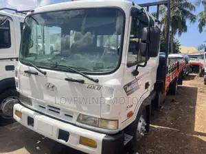 Hyundai Gold Truck 5 Ton for Sale