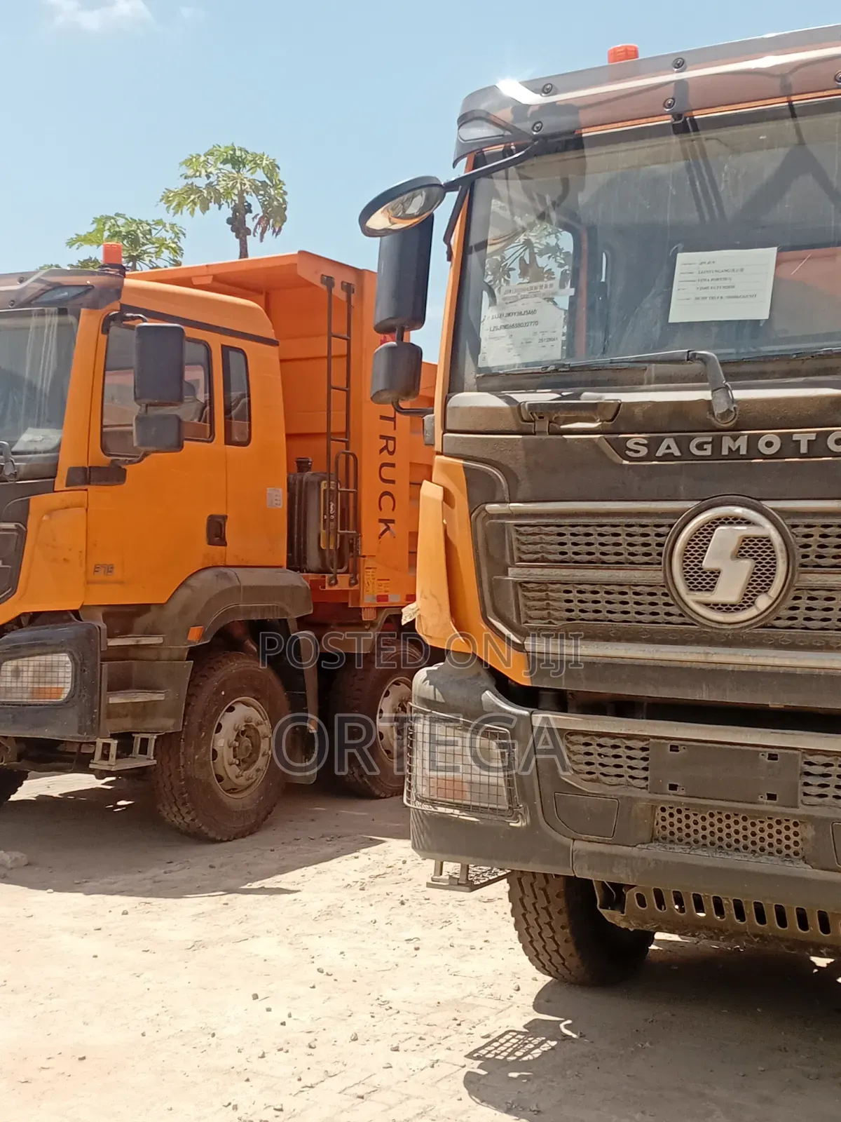 Sagmoto X3 Dump Truck for Sale