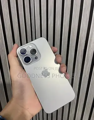 Apple iPhone 15 Pro Max 256 GB Silver