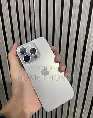 Apple iPhone 15 Pro Max 256 GB Silver