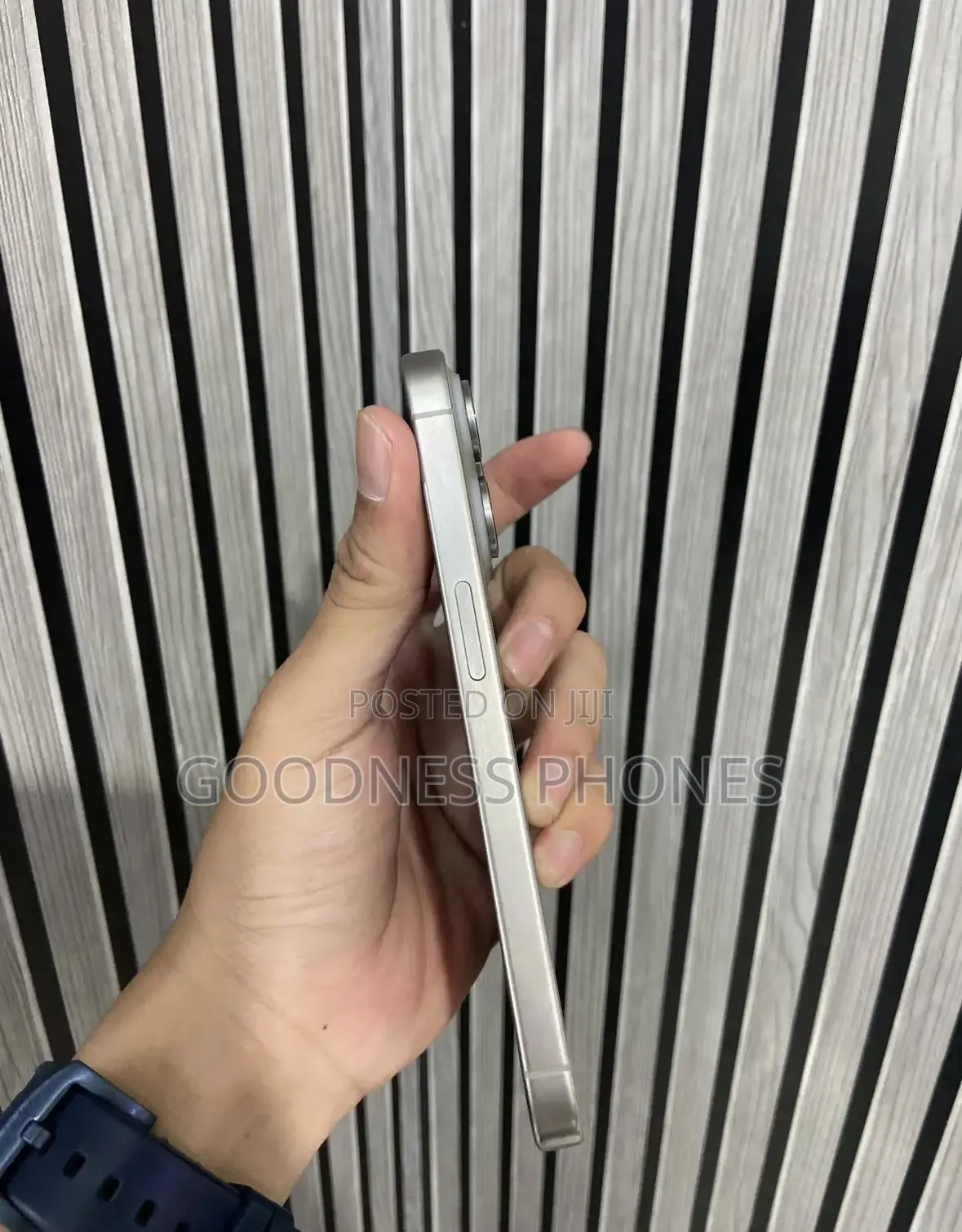 Apple iPhone 15 Pro Max 256 GB Silver