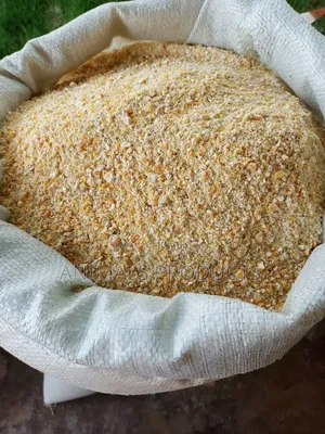 Yellow Maize Crashed for Feed or Food