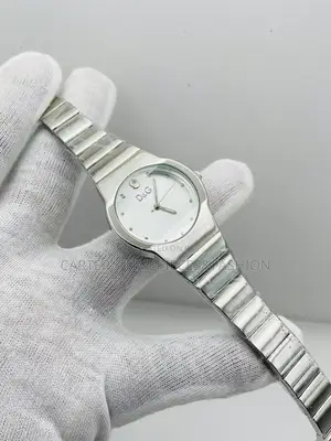 Dolce Gabana Classic Watches
