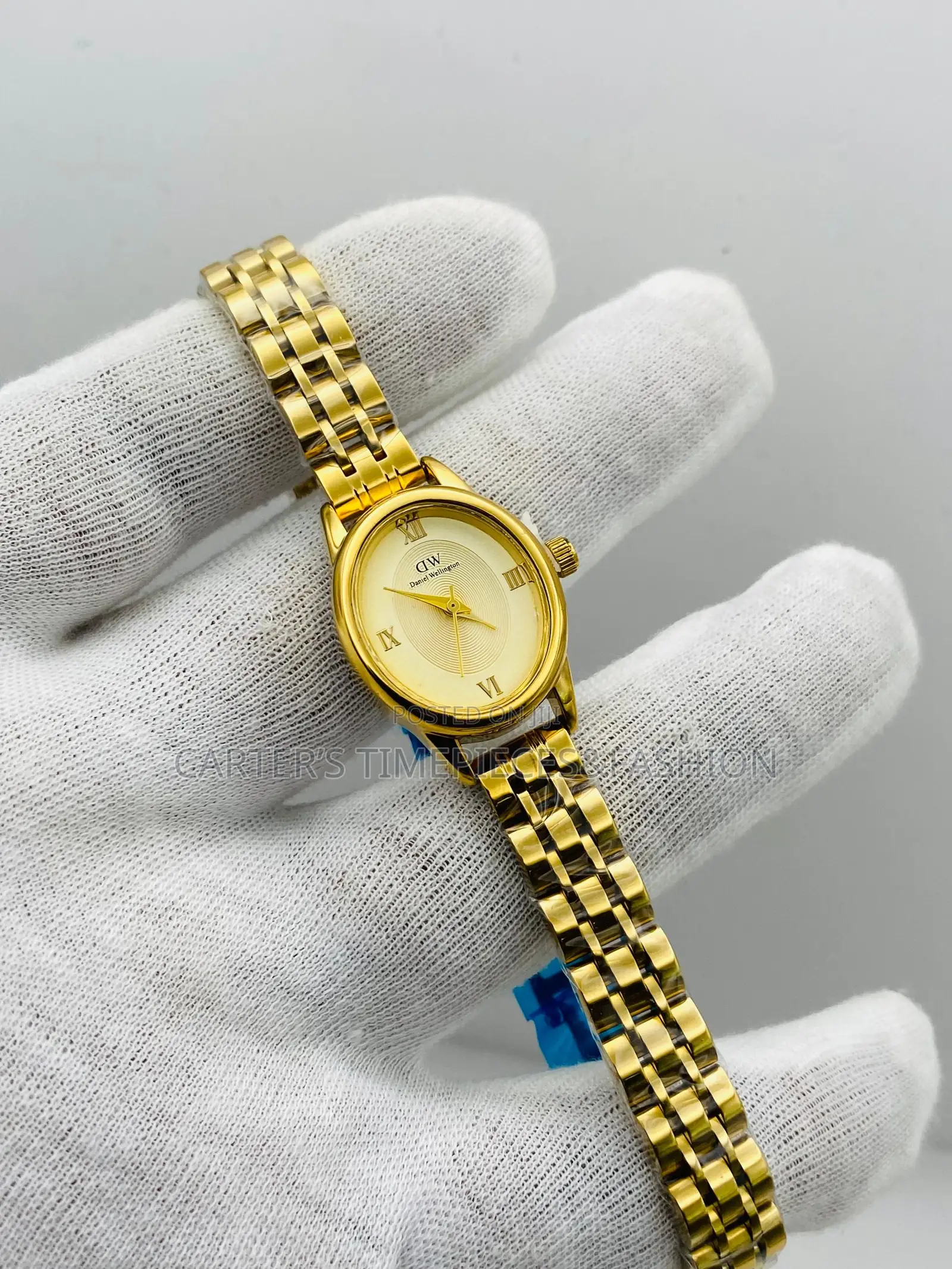 Daniel Wellington Classic Watches for Ladies