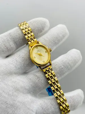 Daniel Wellington Classic Watches for Ladies