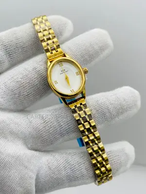 Daniel Wellington Classic Watches for Ladies