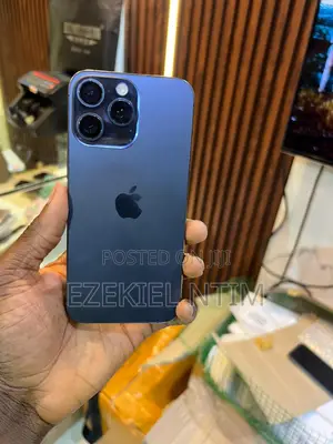Apple iPhone 15 Pro Max 256 GB Gray