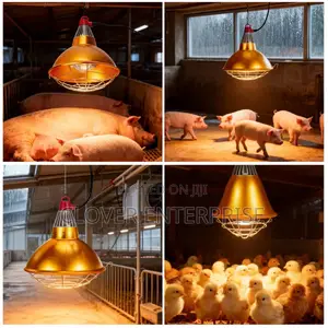 Lampshade for Brooding