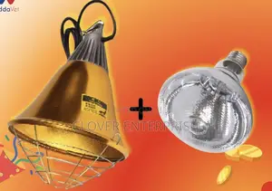 Lampshade for Brooding