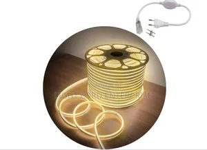 Eco Ked Light Neon 100meters