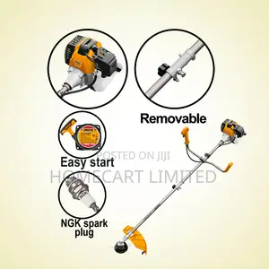 Ingco Grass Trimmer Bush Cutter 43cc With 255mm Blade-GBC