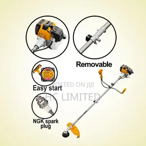 Ingco Grass Trimmer Bush Cutter 43cc With 255mm Blade-GBC