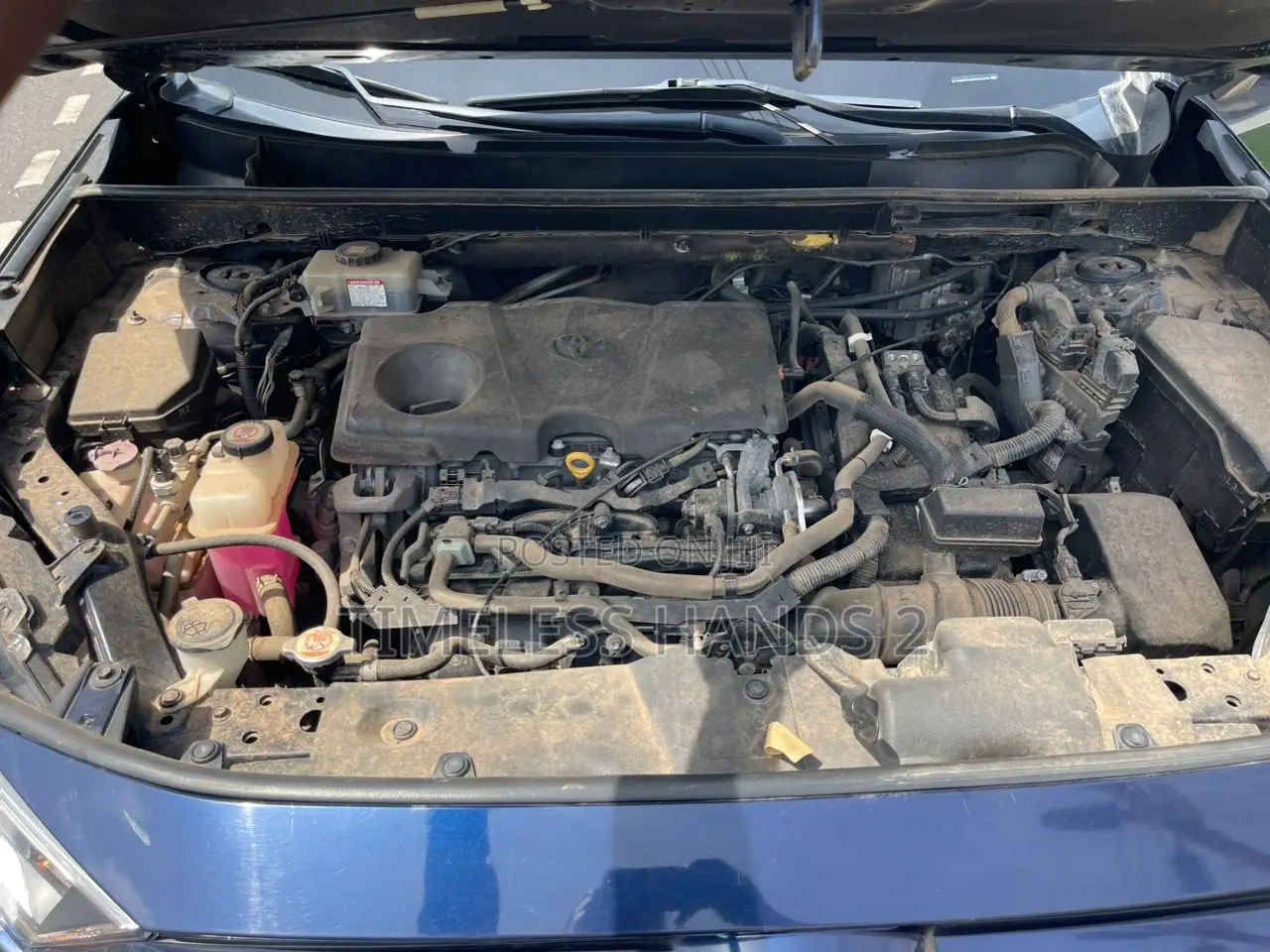 Toyota RAV4 XLE AWD 2020 Blue