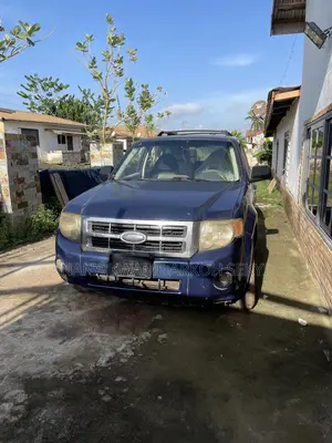 Ford Escape 2013 Blue