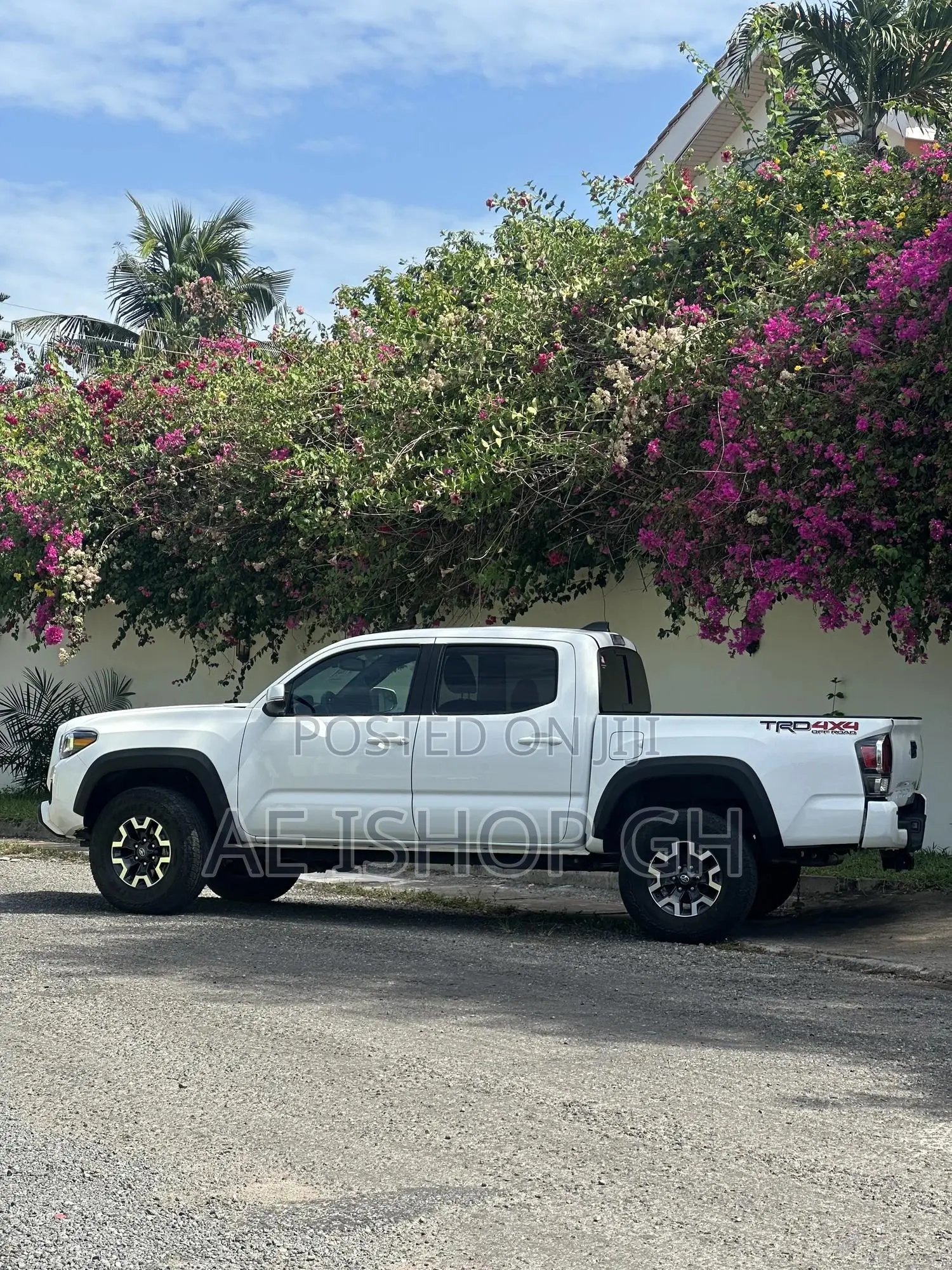 Toyota Tacoma 2023 White