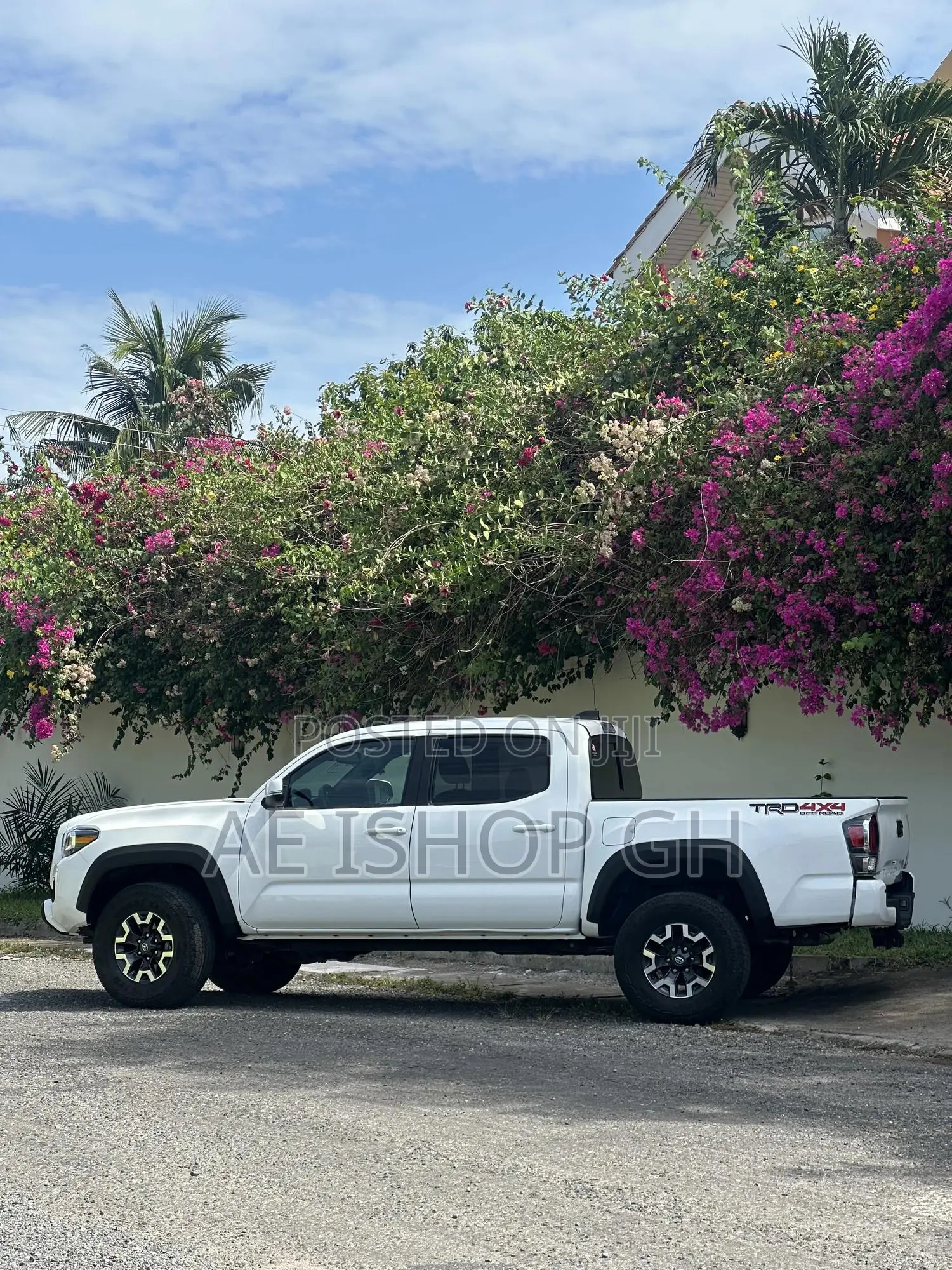 Toyota Tacoma 2023 White
