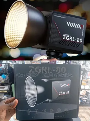 Palm Photography Lights (Zgrl-80)