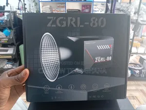 Palm Photography Lights (Zgrl-80)