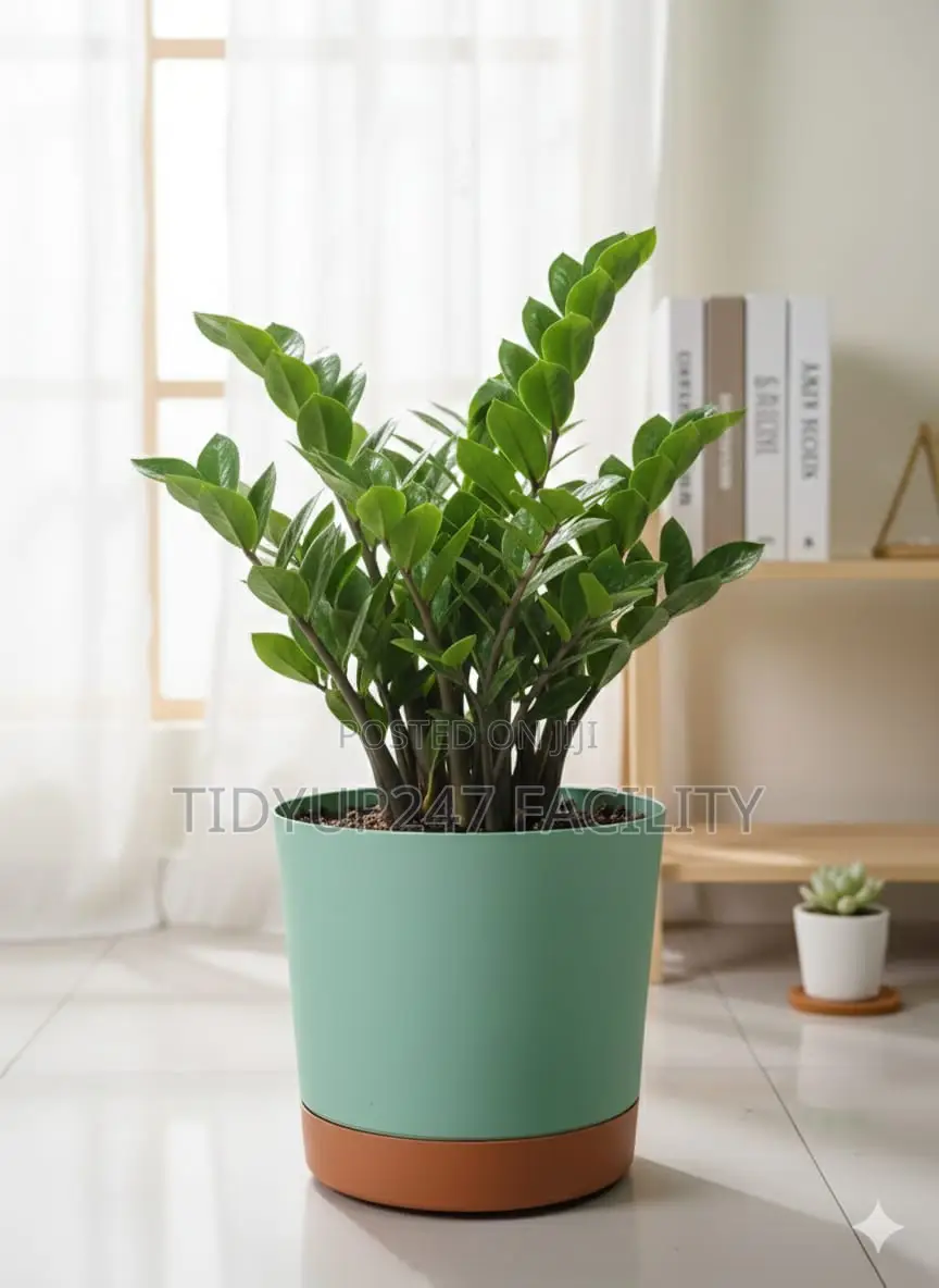 Self-Watering Planters