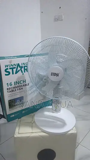 Rechargeable Fan