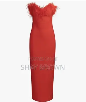 Long Red Dress With Feathers on the Chest