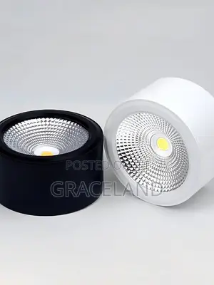 This Is Original Spotlight Set of 2in1 Ceiling Lights