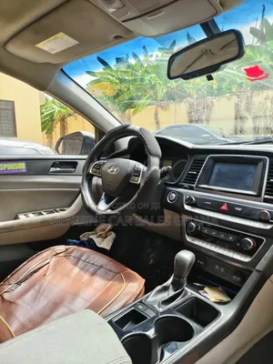 Hyundai Sonata Eco 2019 Brown