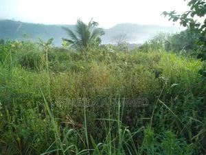 Land for Sale at Affordable Price