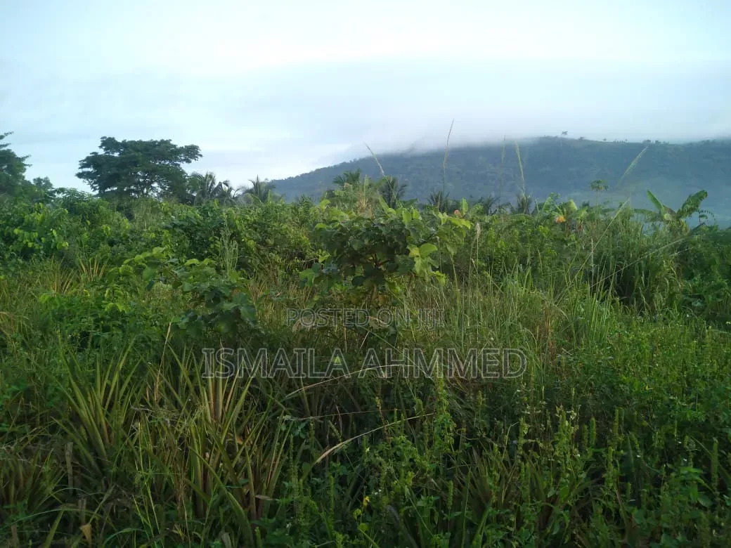 Land for Sale at Affordable Price